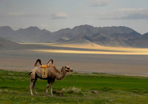 world photo
